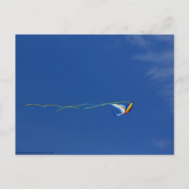 Macaw Kite Postkarte (Vorderseite)