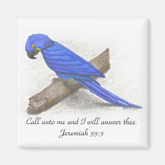 Macaw Magnet (Vorne)