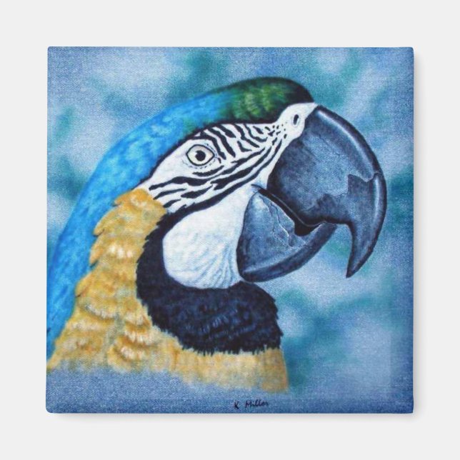 Macaw Magnet (Vorne)