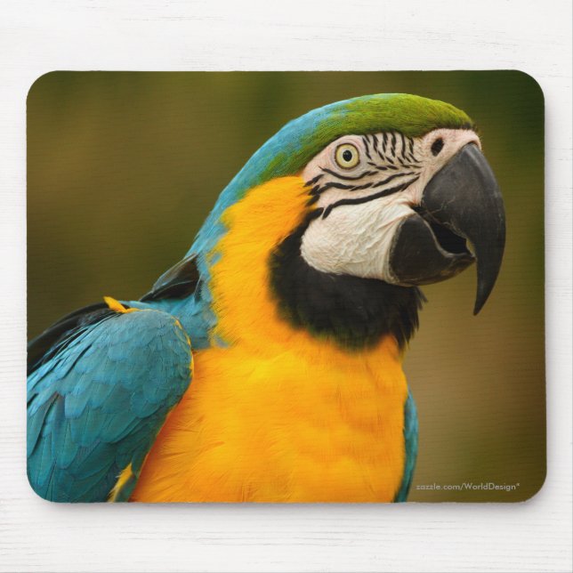 Macaw Mousepad (Vorne)