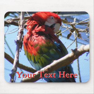 Macaw Mousepad