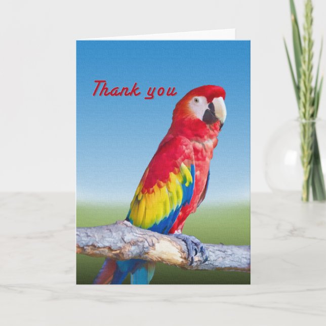 Macaw-Papagei danken Ihnen zu kardieren Dankeskarte (Vorderseite)