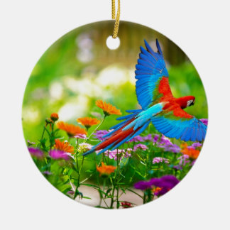 Macaw-Papagei Keramik Ornament