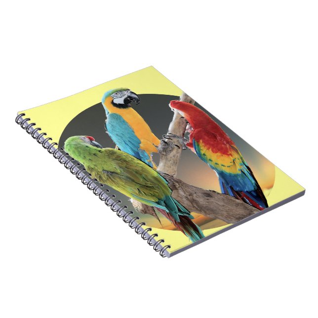 Macaw-Papageien Notizblock (Rechte Seite)