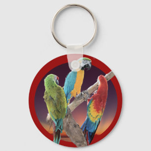 Macaw-Papageien Schlüsselanhänger