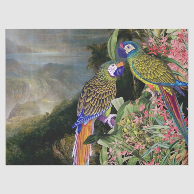 Macaw-Papageien-Vogel-Regen-Waldgewebe-Papier Seidenpapier (Vorderseite)