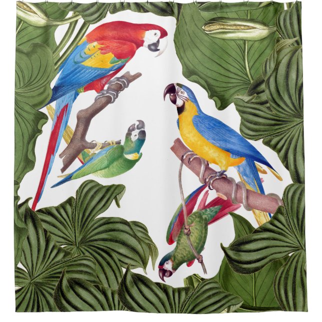 Macaw-Papageien-Vogel-Tier-Tier-Duschvorhang Duschvorhang (Vorderseite)