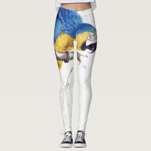 Macaw-Papageien-Vogel-wild lebende Tiere ganz über Leggings