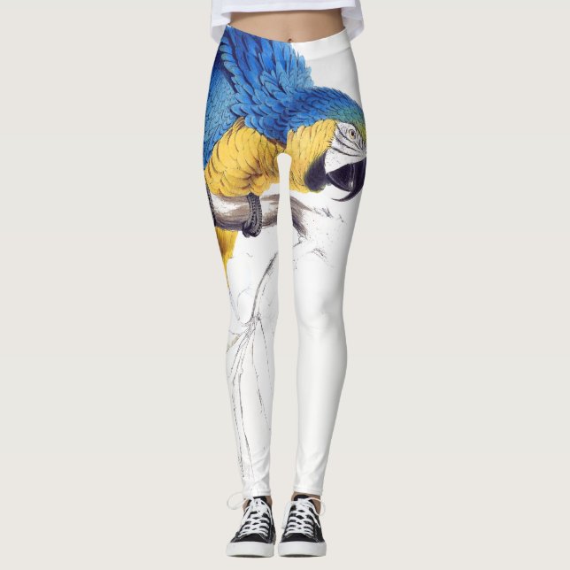 Macaw-Papageien-Vogel-wild lebende Tiere ganz über Leggings (Vorderseite)