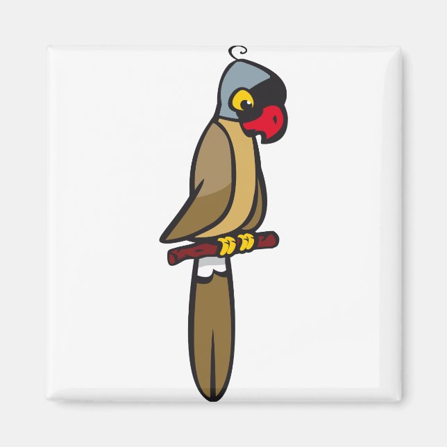 Macaw Parrot 2 Magnet (Vorne)