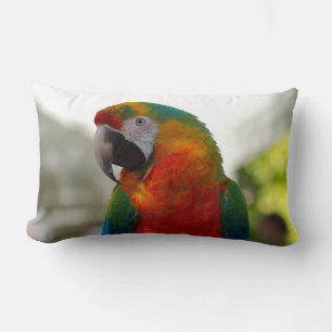 Macaw Parrot Bird Decorative Throw Kissen