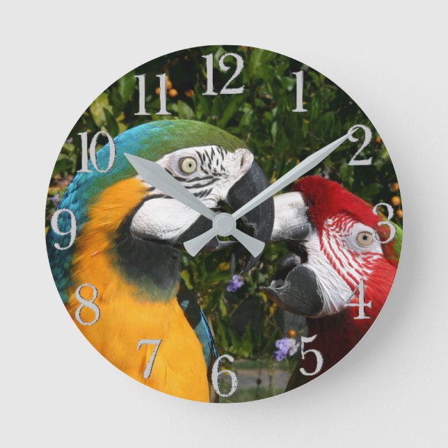 Macaw Parrot Birds Wildlife Animal Wall Clock Runde Wanduhr (Vorderseite)