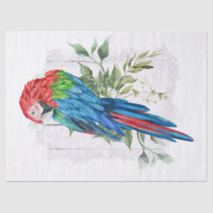 Macaw Parrot Eucalyptus Watercolor Seidenpapier