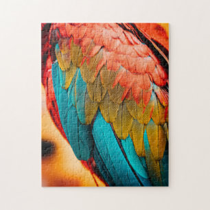 Macaw Parrot Feathers up Nah
