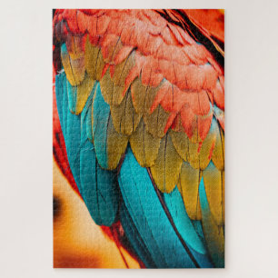Macaw Parrot Feathers up Nah