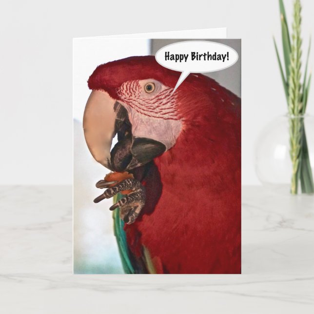 Macaw Parrot Happy Birthday Card Karte (Vorderseite)