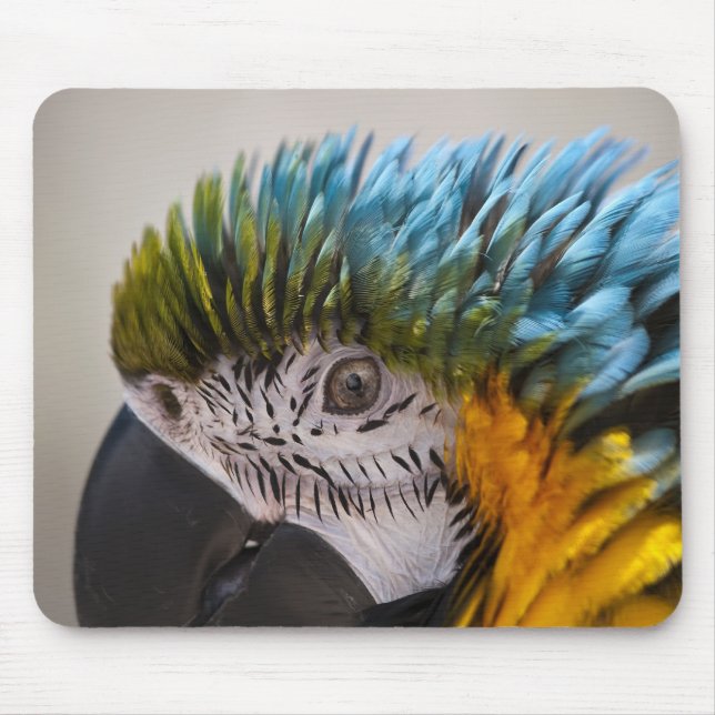 Macaw Parrot - Mousepad (Vorne)
