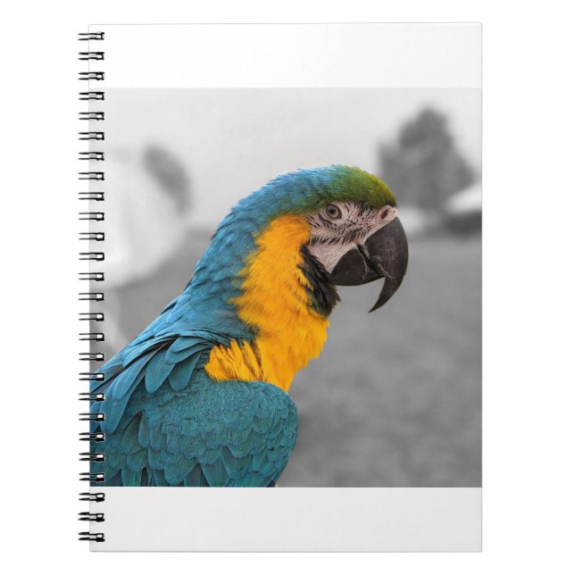 Macaw Parrot Notizblock (Vorderseite)