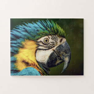 Macaw Parrot Oiseau Animal puzzle puzzle