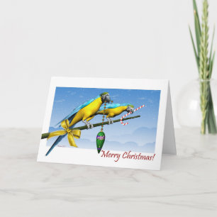 Macaw Parrot Ornement Sucre de canne carte de Noël