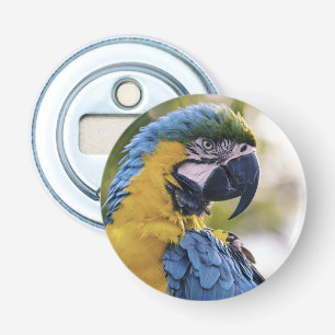 Macaw Parrot Portrait Foto Flaschenöffner