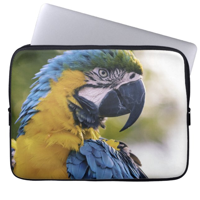 Macaw Parrot Portrait Foto Laptopschutzhülle (Vorderseite)