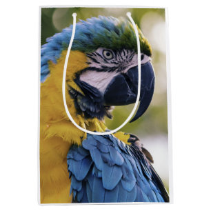 Macaw Parrot Portrait Foto Mittlere Geschenktüte