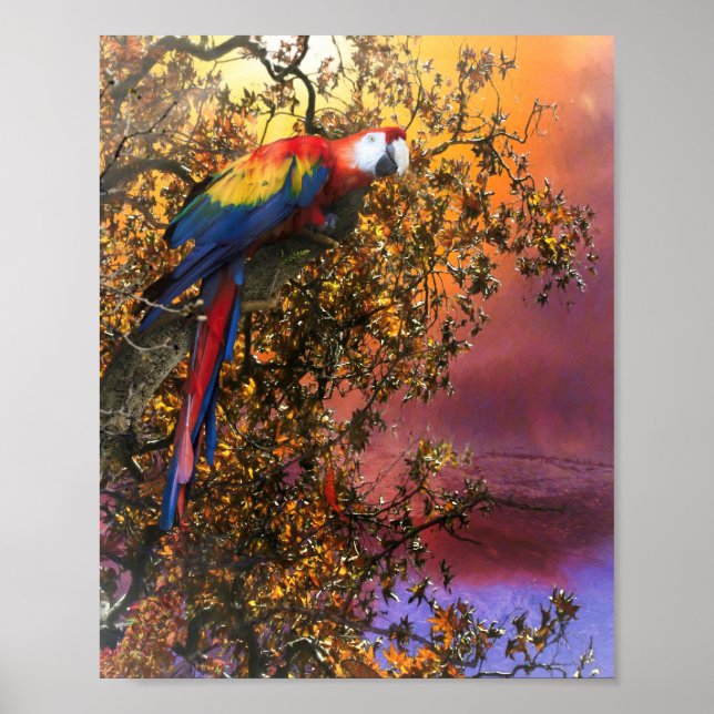 MACAW PARROT RAIN FOREST OUTPOST POSTER (Vorne)