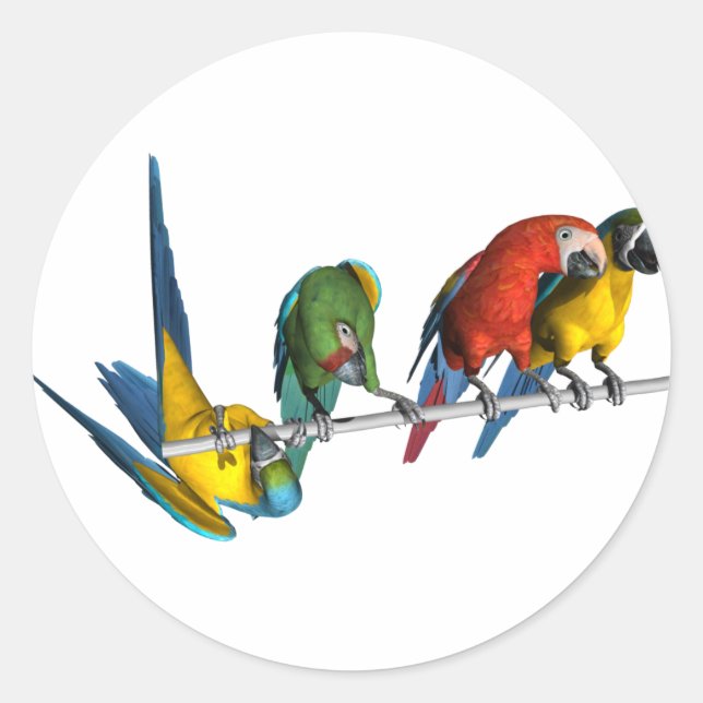 Macaw Parrot Runder Aufkleber (Vorderseite)