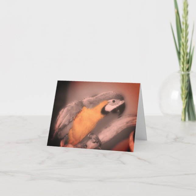Macaw Parrot Schwarz-weiße partielle Farbnotierkar Dankeskarte (Vorderseite)