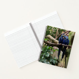 Macaw Parrot Spiral Notebook Notizbuch