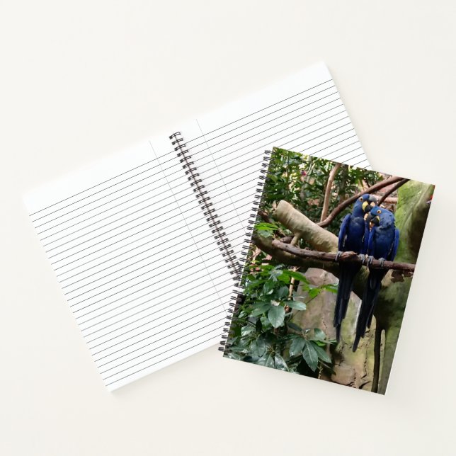 Macaw Parrot Spiral Notebook Notizbuch (Innenseite)