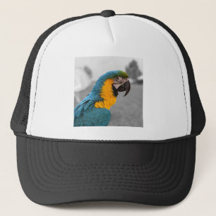 Macaw Parrot Truckerkappe
