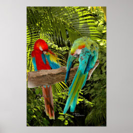 Macaw Parrots in einem tropischen Waldposter Poster