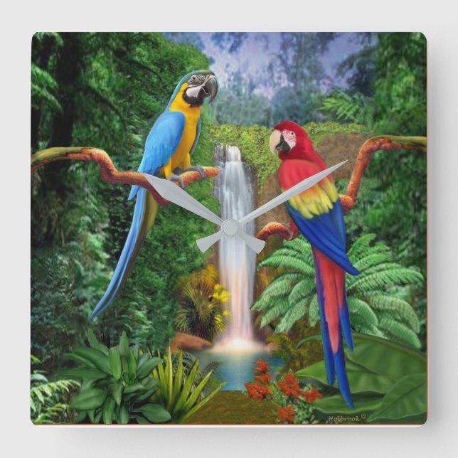 Macaw Tropical Parrots Quadratische Wanduhr (Vorderseite)