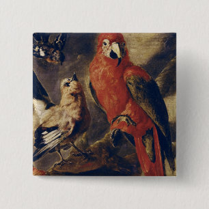 Macaw und Bullfinch Button