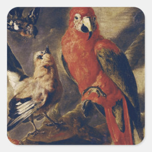 Macaw und Bullfinch Quadratischer Aufkleber