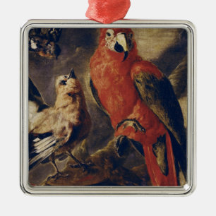 Macaw und Bullfinch Silbernes Ornament