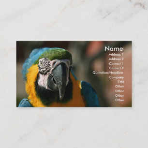 Macaw Visitenkarte