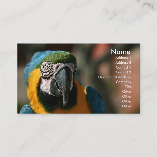 Macaw Visitenkarte (Vorderseite)