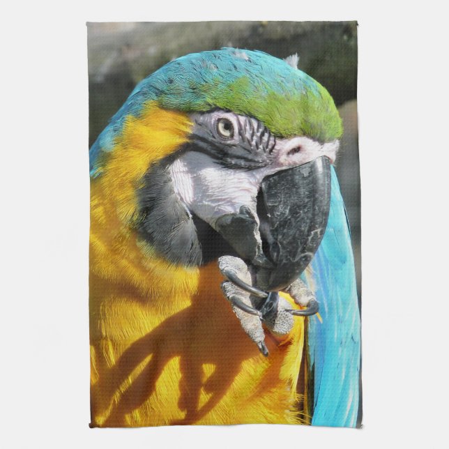 MACAWS HANDTUCH (Vertikal)