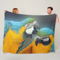 Macaws in love