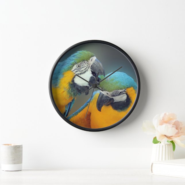 Macaws in love uhr (Zuhause)