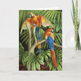 Macaws-Karte Karte