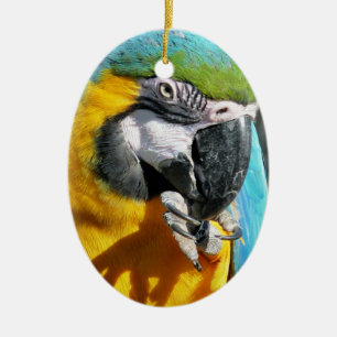 MACAWS KERAMIKORNAMENT