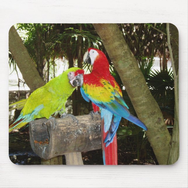 Macaws Mousepad (Vorne)