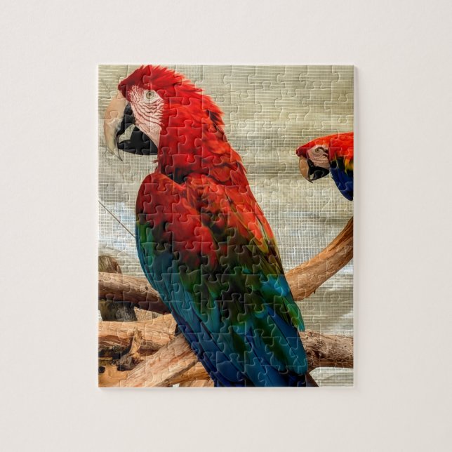 Macaw's on tree limb puzzle (Vertikal)