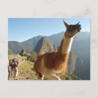 Macchu Picchu Postkarte