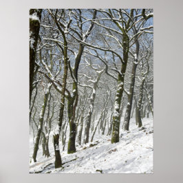Macclesfield Forest Winter Card Canvas Print Poster