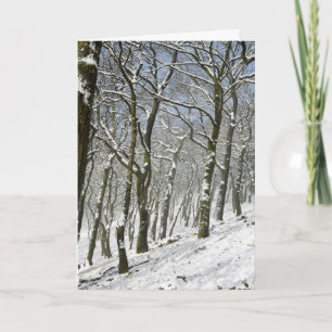 Macclesfield Forest Winter Card Karte